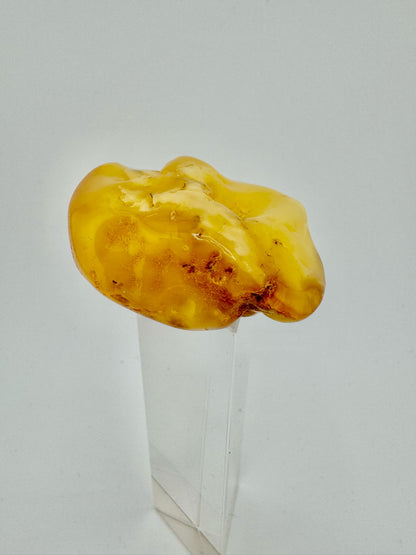 Amber - unique piece