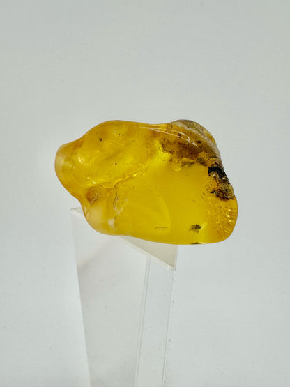 Amber - unique piece